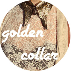 DIY collar